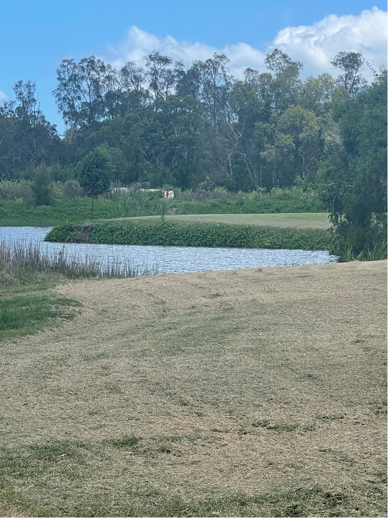 eagleby 2024-03